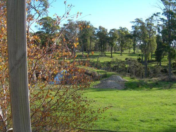 Platypus Park Country Retreat Villa Bridport Rum bild