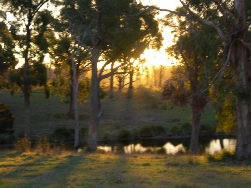 Platypus Park Country Retreat Villa Bridport Rum bild
