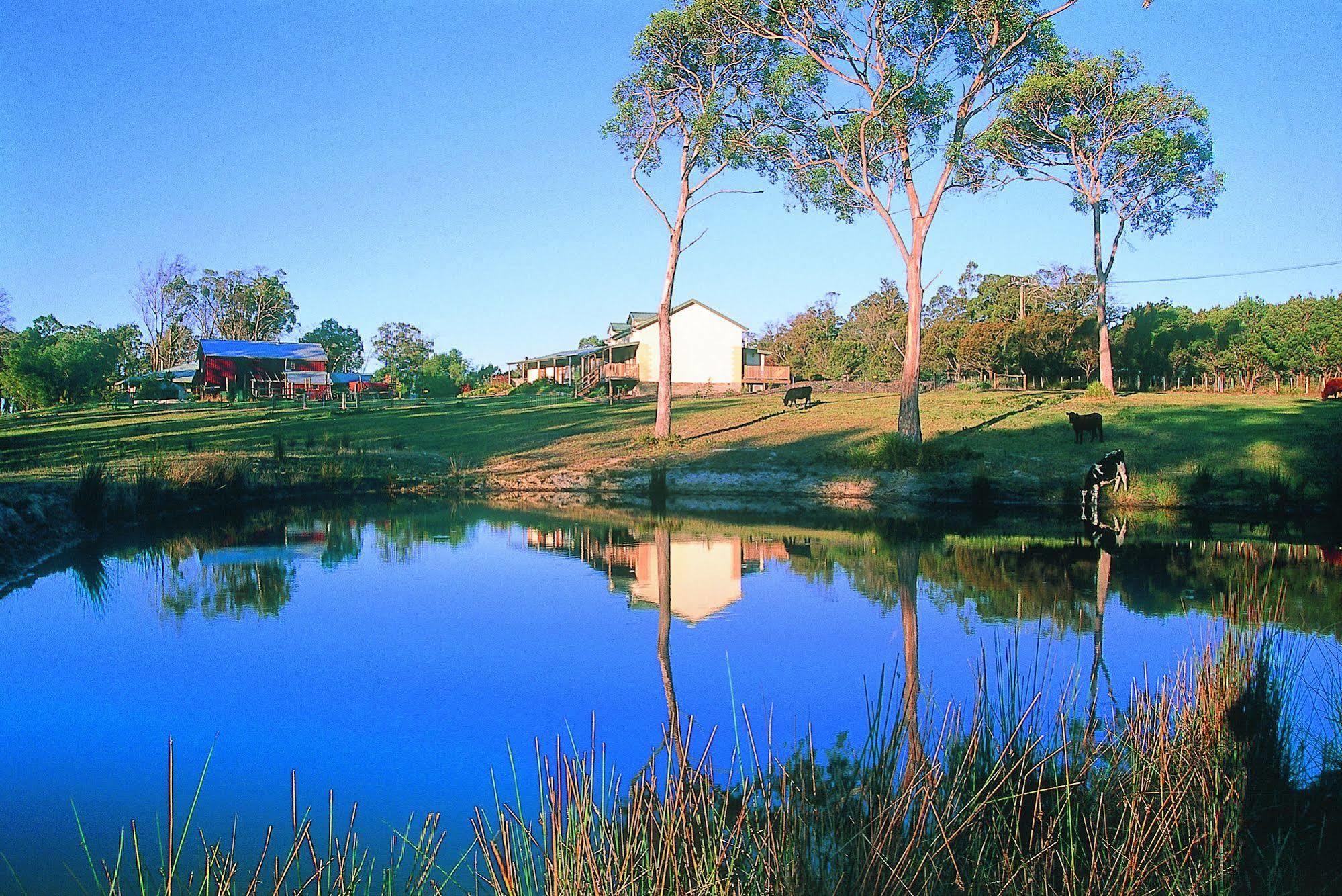 Platypus Park Country Retreat Villa Bridport Exteriör bild
