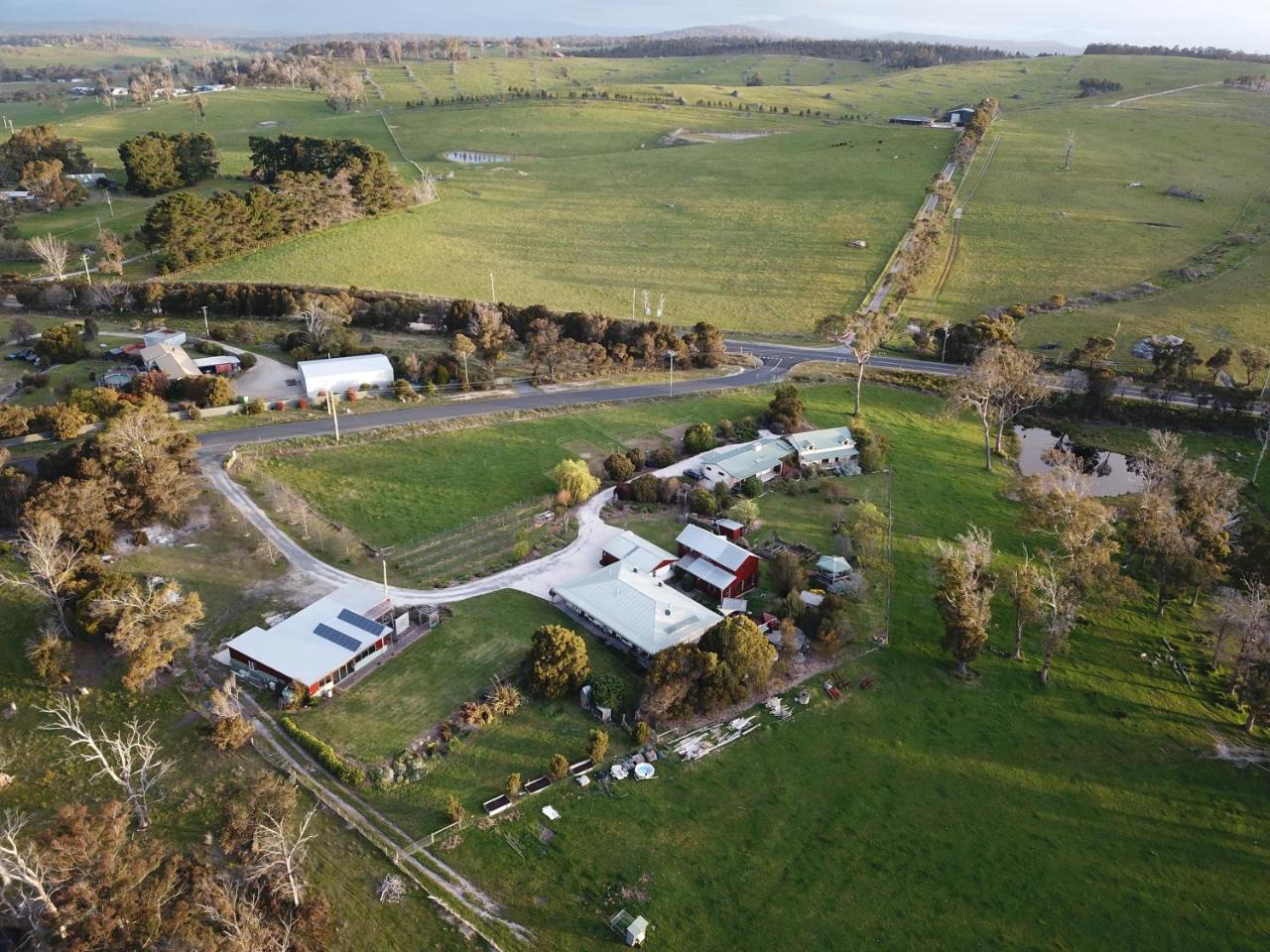 Platypus Park Country Retreat Villa Bridport Exteriör bild