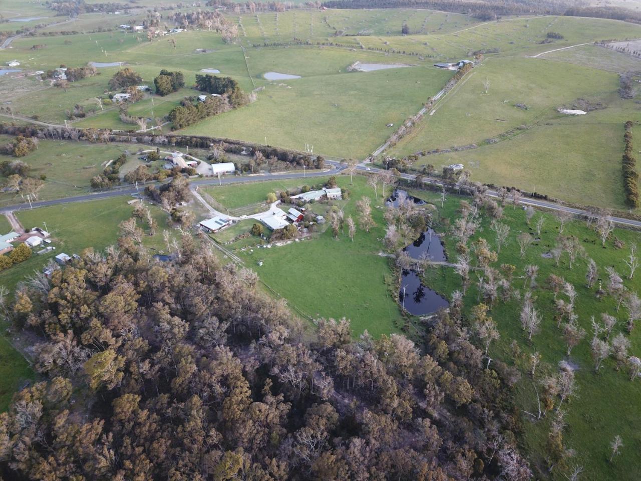 Platypus Park Country Retreat Villa Bridport Exteriör bild